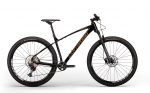 Jalgratas - Corratec X-Vert Pro Team 29"