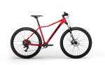 Jalgratas - Corratec X-Vert Expert 29"