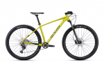 Jalgratas - CTM Rascal 1.0 29"