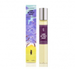 Une Nuit Nomade Love at first Sight