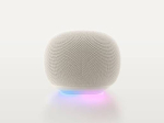 Google Home Smart Speaker Porcelain US