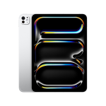 Apple iPad Pro 11" (2024) with Nano-texture Glass 1TB Silver