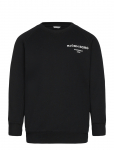 Bj&ouml;rn Borg - Borg Essential 1 Sweatshirt - Dressipluusid - 134-140