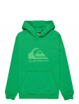 Quiksilver - Comp Logo Hoodie Youth - Kapuutsiga pusad - 152