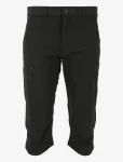 Whistler - Shann M Long Outdoor Shorts - Spordi l&uuml;hikesed &otilde;uep&uuml;ksid - M