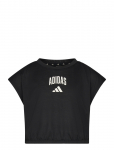 Adidas Sportswear - Jg Clgt Tee - L&uuml;hikeste varrukatega - 164
