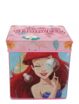 Princesses - Storage Box - Hoiukarbid - ONE SIZE