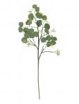 Bloomingville - Eucalyptus Stem - Kuivatatud ja kunstlilled - H82CM
