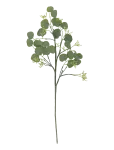 Bloomingville - Eucalyptus Stem - Kuivatatud ja kunstlilled - H82CM
