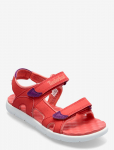 Timberland - Perkins Row Backstrap Sandal Cayenne - Sandaalid - 35