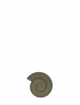 OYOY Living Design - Nautilus Trivet - Salvr&auml;tikur&otilde;ngad ja -hoidjad - 1.2X16.5X15CM
