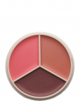 Anastasia Beverly Hills - Magic Touch Blush Trio - P&otilde;sepunad - 9 G