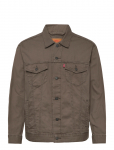 Levi's&reg; - Relaxed Fit Trucker Browns - Voodrita teksatagid - XL