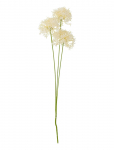 Bloomingville - Allium Stem - Kuivatatud ja kunstlilled - H64CM