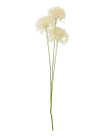 Bloomingville - Allium Stem - Kuivatatud ja kunstlilled - H64CM