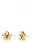 Edblad - Daisy Studs Gold One Size - Needid - ONE SIZE