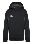 Hummel - Hmlauthentic Pl Hoodie Kids - Kapuutsiga pusad - 164