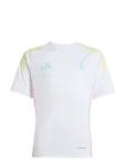 Adidas Performance - Juve Tr Jsy Y - L&uuml;hikeste varrukatega - 164