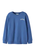 Name It - Nkmblain Ls Nreg Sweat Bru - Dressipluusid - 134-140