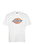 Dickies - Dickies Icon Ss Tee - L&uuml;hikeste varrukatega - XXL