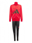Adidas Sportswear - J Bl Tr Ts 205 - Dressikomplektid - 164