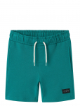 Name It - Nkmfritzo Nreg Swe Shorts Unb Pb - L&uuml;hikesed dressip&uuml;ksid - 158