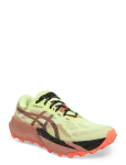 Asics - Trabuco 14 - Spordi jooksujalatsid - 47