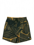 Quiksilver - Everyday Printed Volley Yth 14 - Ujumisp&uuml;ksid - 152
