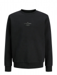 Jack & Jones - Jjjin Sweat Crew Neck Jnr - Dressipluusid - 176