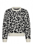 Kids Only - Kogdora Life Leo L/S O-Neck Knt - Pulloverid - 158-164