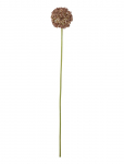 Bloomingville - Allium Stem - Kuivatatud ja kunstlilled - H70CM