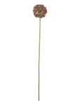 Bloomingville - Allium Stem - Kuivatatud ja kunstlilled - H70CM
