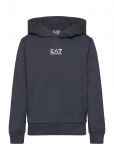 EA7 - Sweatshirt - Kapuutsiga pusad - 116