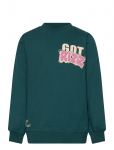 The New - Tnreg Sweatshirt - Dressipluusid - 122/128
