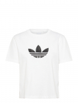 Adidas Originals - Trefoil Boxy T - Spordi T-s&auml;rgid - XXL