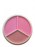 Anastasia Beverly Hills - Magic Touch Blush Trio - P&otilde;sepunad - 9 G