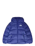 The North Face - B Hydrenalite Down Hooded Jacket - Tepitud ja polsterdatud - L