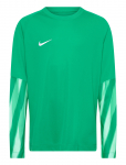 Nike - Nike Dri-Fit Park Goalkeeper Jersey Long-Sleeved - Pikkade varrukatega T-s&auml;rgid - 158-170