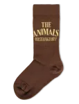 THE ANIMALS OBSERVATORY - Snail Kid Socks - Sokid - 23/26