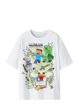 Name It - Nkmsena Minecraft Ss Nreg Top Box Bfu - L&uuml;hikeste varrukatega - 158-164