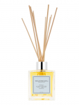 Tromborg - Aroma Therapy Room Diffuser Menthe - L&otilde;hnahajutajad - 200 ml