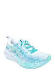 Asics - Noosa Tri 16 - Spordi jooksujalatsid - 41.5