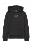 EA7 - Sweatshirt - Kapuutsiga pusad - 104