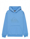 Quiksilver - Comp Logo Hoodie Youth - Kapuutsiga pusad - 128