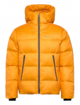Sail Racing - Cloud Down Hood - Spordi polsterdatud jakid - XL