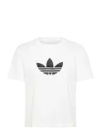 Adidas Originals - Trefoil Boxy T - Spordi T-s&auml;rgid - XS
