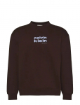 Calvin Klein - Ls 350Fleece Retro Graphic Crewn - &Uuml;mara kaelusega - XXL