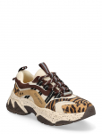 Steve Madden - Animates-Le - Madala s&auml;&auml;rega tossud - 36