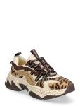 Steve Madden - Animates-Le - Madala s&auml;&auml;rega tossud - 36