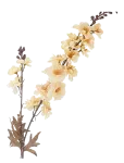 Bloomingville - Larkspur Stem - Kuivatatud ja kunstlilled - H86CM